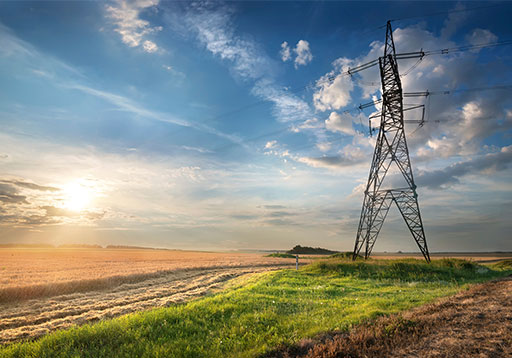 Cyber-Physical Risk of the bulk Electric Energy Supply System